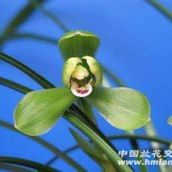 无聊的句子说说心情搞笑