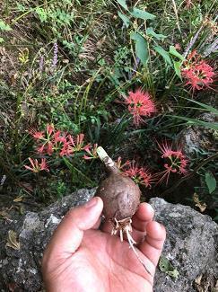 感悟人生的优美句子