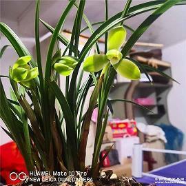 2020祝朋友生日快乐祝福语真挚