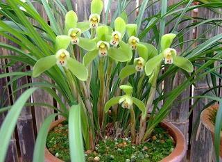 2021中秋节对家人祝福语简短一句话(精选50条)