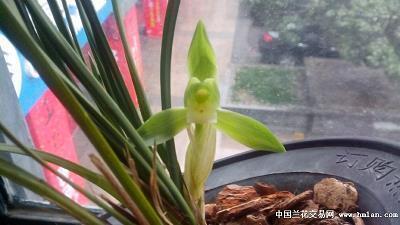 2021送客户的元宵节简短祝福语