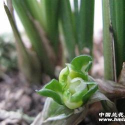 青云万里