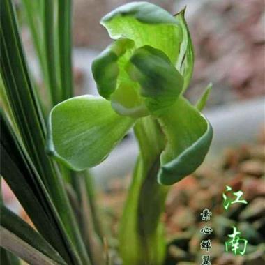 2021父亲节唯美好句好段推荐66句