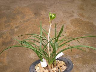 对爱情失望含蓄的句子