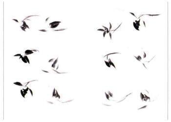 2021年芒种最经典的祝福语文案推荐69句