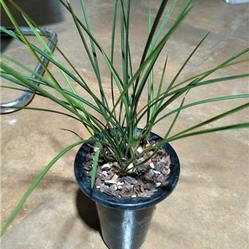 世界上最唯美的句子