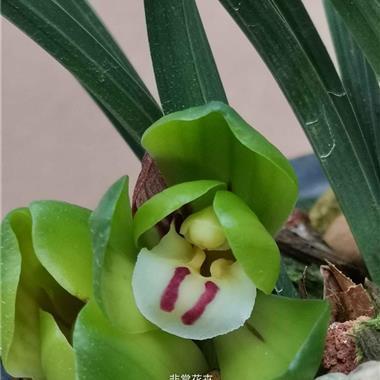 箝束