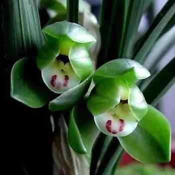 写一句赞美母亲的话 写几句关于赞美伟大母亲的句子