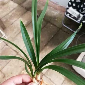 打动人心的文案短句