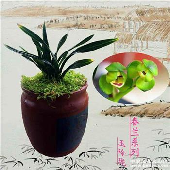凶败