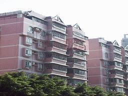 同事出去旅游玩的开心的句子