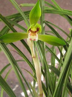 2021最后一天祝福语简短句子(精选40句)