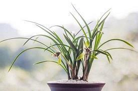 伤感下雨天的心情说说36句