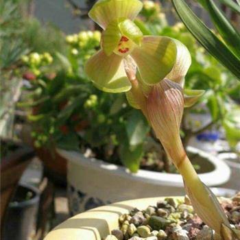 别离开我的情话 不要离开我好吗句子