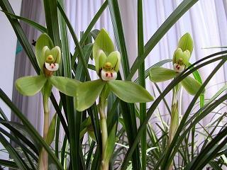 2021最新描写谷雨的优美句子12句