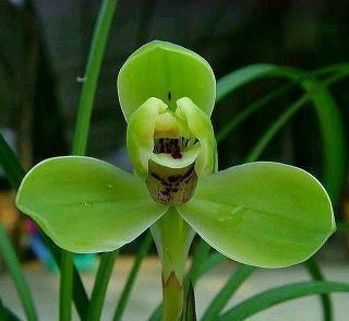 2021国家宪法日宣传标语口号