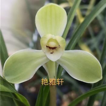 鬼哭神嚎