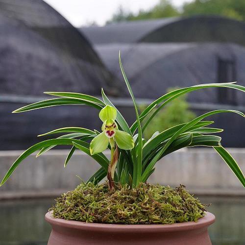 人在外心在家的句子