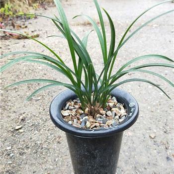 2021幼儿园秋季开学欢迎句子_秋季开学祝福语大全