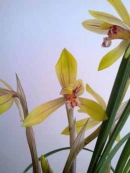 2021七夕写给妻子的情书 七夕写给老婆的暖心话