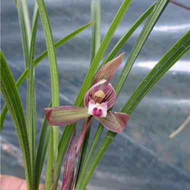 工作激励人心的句子正能量短句