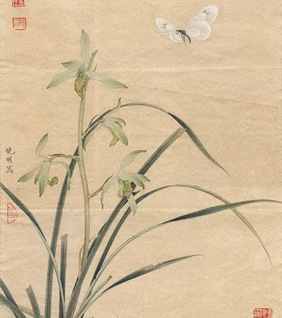 菜品