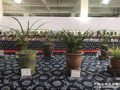2021疫情防控宣传标语(精选74句)