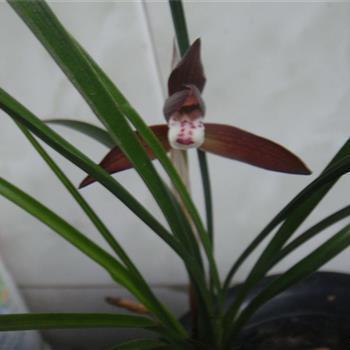 2021愚人节幽默说说心情短语