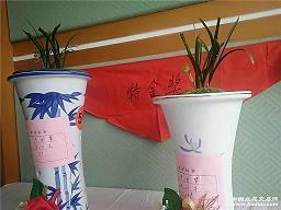 荪桡