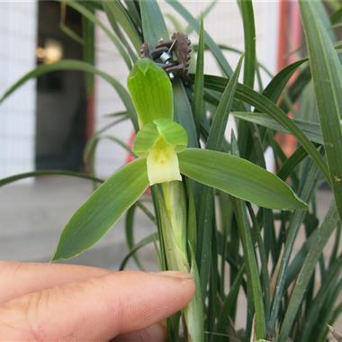 年后第一天上班心情说说(精选100句)