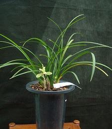 对一个人失望想分手的句子