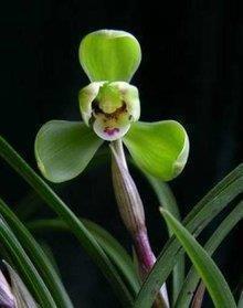 情侣一个月纪念日说说