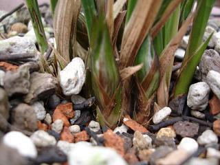 2021高三毕业寄语唯美句子精选73句