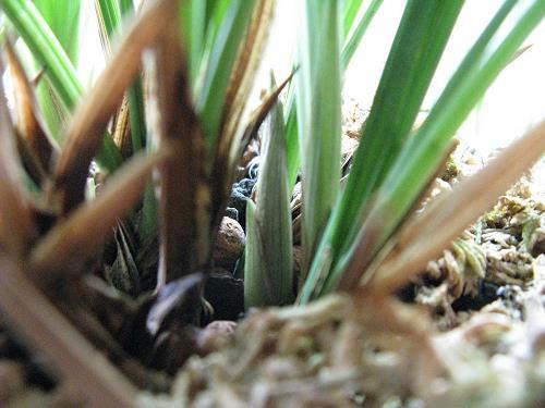 女生对男生深情告白一句话(精选27句)