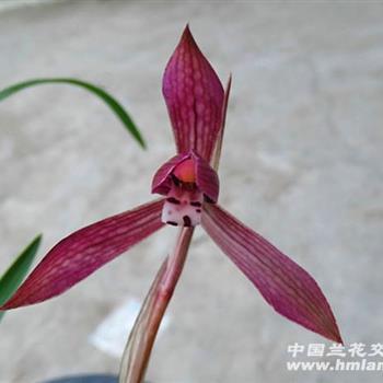 阴错阳差