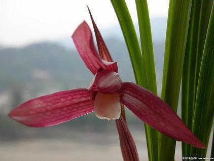 和老公冷战心情不好的说说