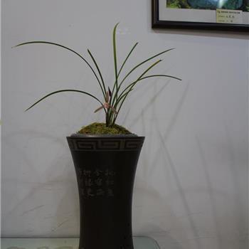 伤感爱情唯美句子短句