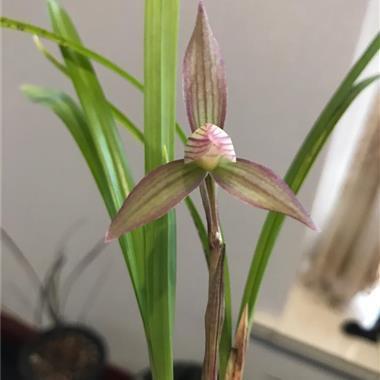 qq唯美的句子73句