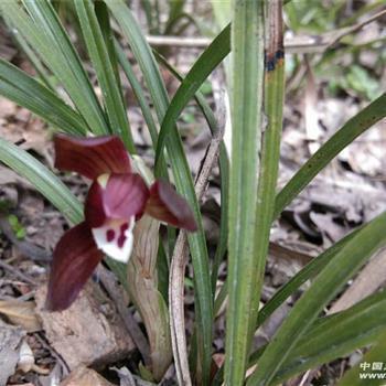 2021小年快乐祝福语说说经典文案