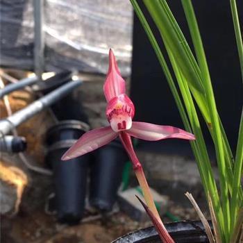 2021七夕撩人表白情话(精选94句)