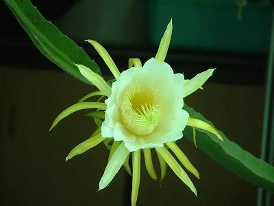 伤感到绝望心死的说说