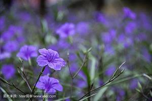 关于心里有道过不去的坎的说说句子(精选20句)