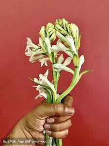 2020年给长辈的新春贺词