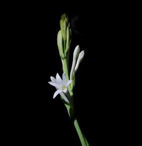 2021中秋节简短祝福句子文案(精选78句)