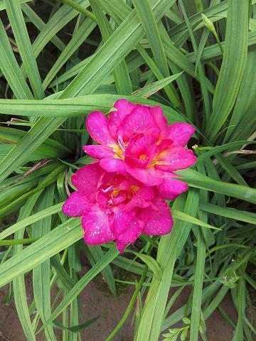 2021梦想激励人心的句子(精选45句)