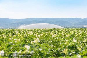 2021安慰情人的句子(精选76句)