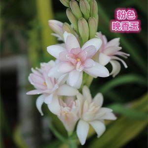 雄唱雌和