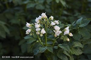 2021适合教师节发的祝福文案汇总75句