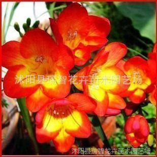 安全口号标语：安全生产重在预防