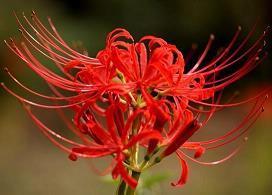 简短阳光温暖的短句  心有阳光唯美句子